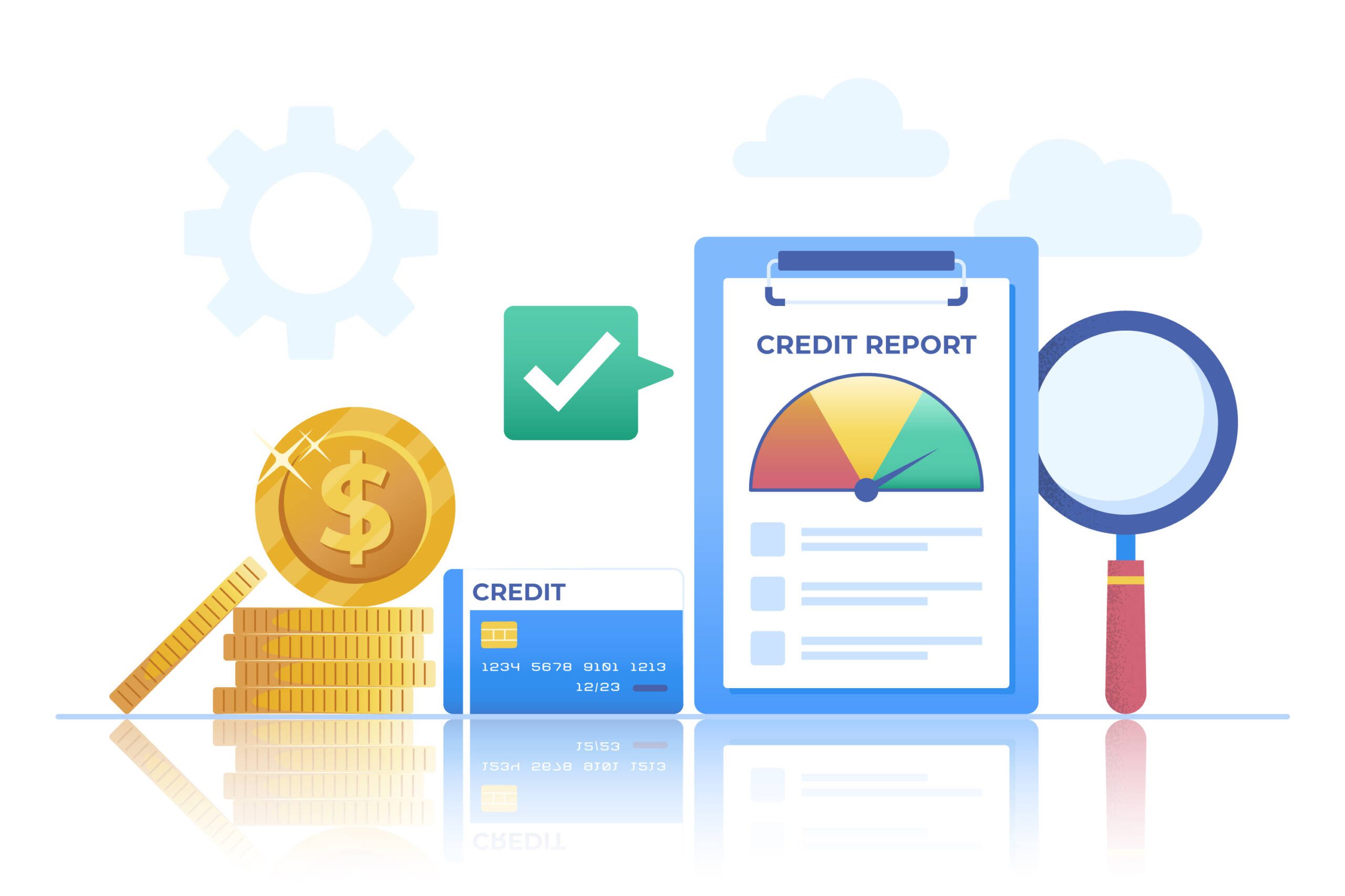 Company Credit Report Rectification